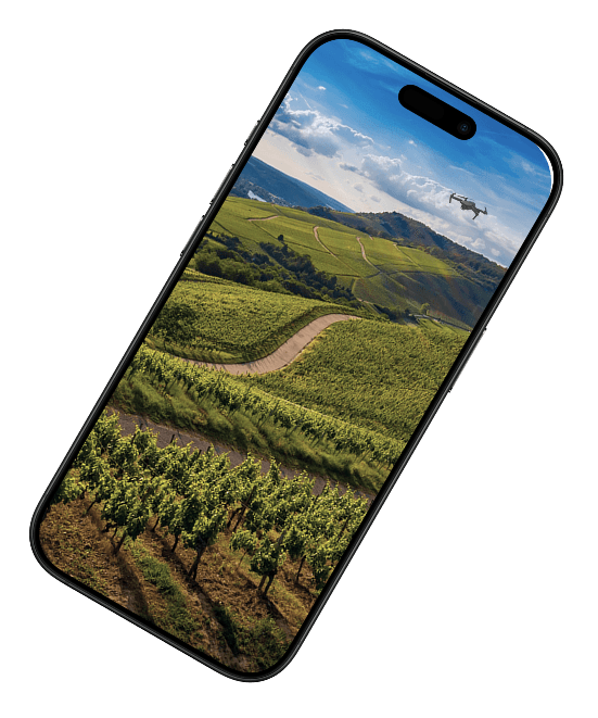 Marketing Section Image 2